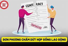 Chấm Dứt Hợp Đồng Lao Động 6 Tháng