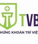 Công Ty Chứng Khoán Trí Việt Bị Bắt