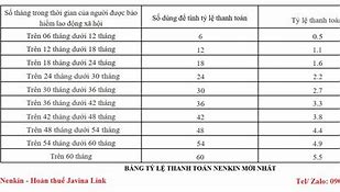 Hệ Số Nenkin Hiện Tại