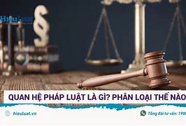 Pháp Luật Không Điều Chỉnh Quan Hệ Xã Hội Nào